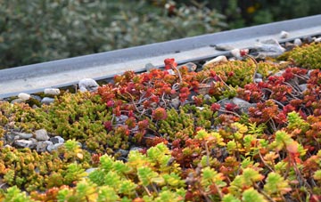 the cost of Dun Charlabhaigh green roof installation