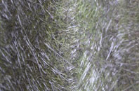 Dun Charlabhaigh fibreglass roof work